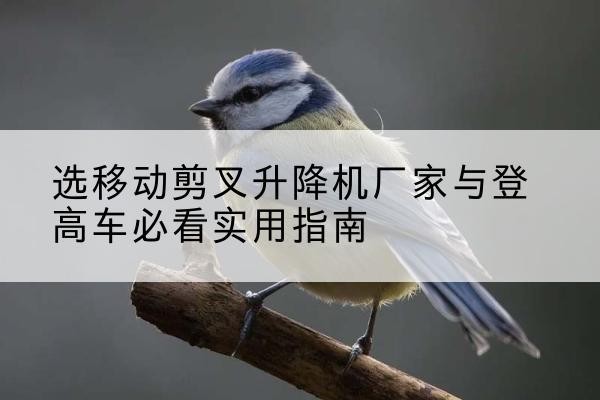 浮梁电动升降机厂家-选移动剪叉升降机厂家与登高车必看实用指南