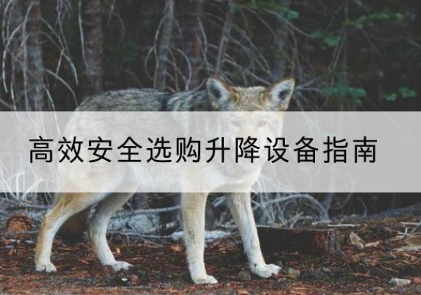 浮梁升降货梯厂家推荐-*安全选购升降设备指南